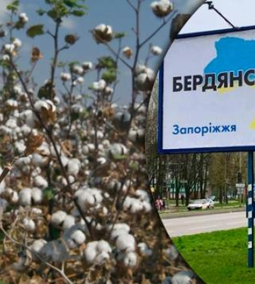 Со второй попытки: с оккупированного Бердянска на концерт Кобзона отправился местный коллаборант