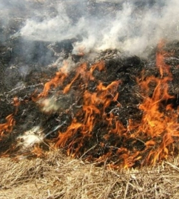 На одному з островів Ізмаїльського району виникла пожежа