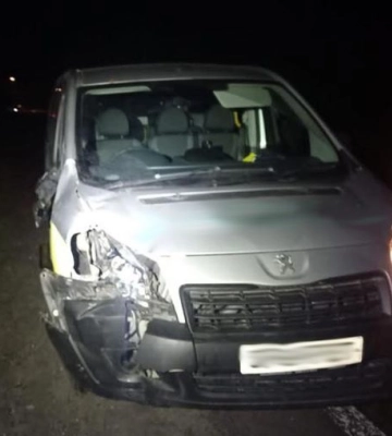 На трасі Львів-Тернопіль водій Peugeot на смерть збив 31-річного пішохода