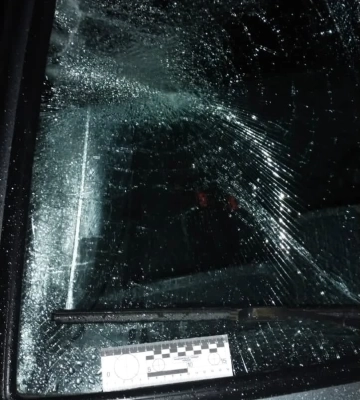 На Львівщині пенсіонерка за кермом збила велосипедиста, - ФОТО