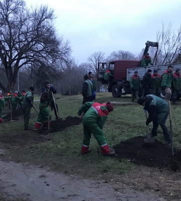 У парку Перемоги в Одесі висадили понад 60 саджанців софори