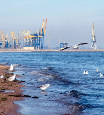 Експорт агропродукції з морських портів України за тиждень скоротився на 20% / Інфографіка