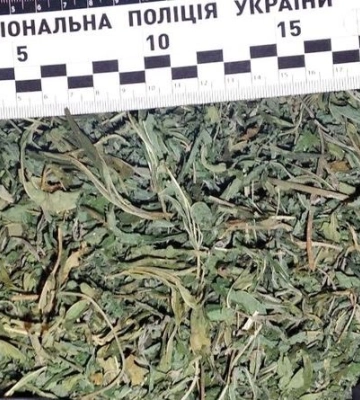 На Рівненщині спіймали чоловіка з коноплями у пакеті