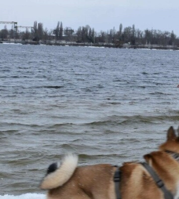 У Дніпрі офіційні місця для занурення на Водохреще не облаштували