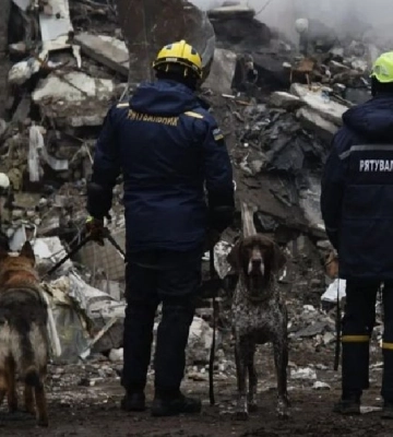 Кінологи Сумщини, які допомагали шукати людей під завалами багатоповерхівки, повернулися з Дніпра