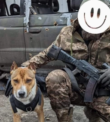 Військовий з Ківерців врятував на війні собаку та шукає йому господаря