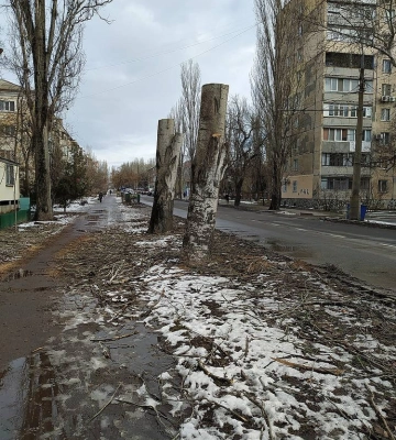 З початку війни в Миколаєві демонтували близько півтори тисячі тополь