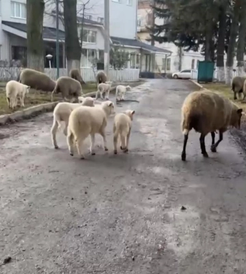 У Рівному почали вакцинувати дітей 5-11 років від COVID-19 (ВІДЕО)