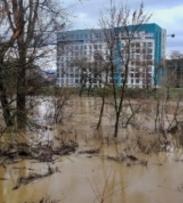 В Ужгороді затопило частину парку