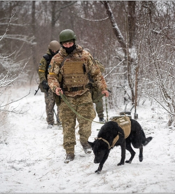 На Одещині знешкодять артснаряди часів Другої світової війни