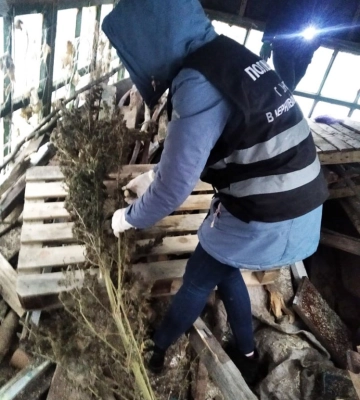 На Чернігівщині поліцейські вилучили у наркоплантатора кілька кілограмів «врожаю» (ФОТО)