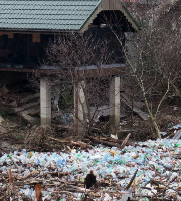 «Сміттєвий острів на річці Уж»: в мережі показали разючі кадри (ФОТОФАКТ)