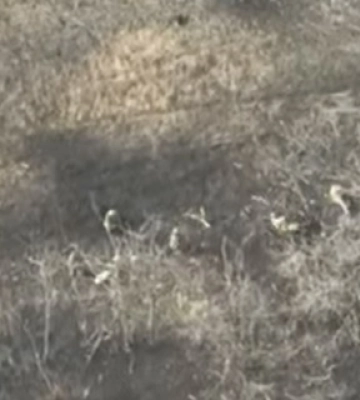 На Донеччині троє миколаївських морпіхи відбили ворожу атаку (ВІДЕО)