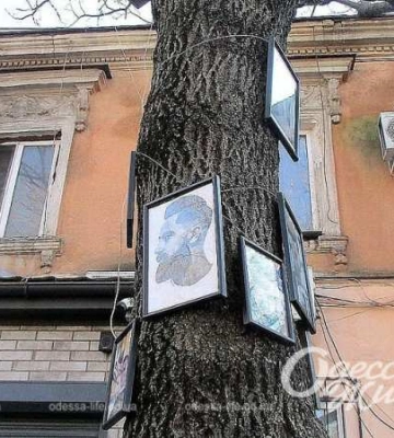В центрі Одеси з’явилося незвичайне дерево