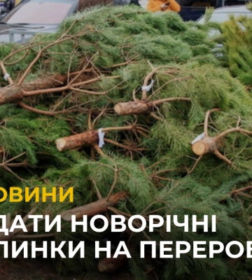 У Львові діятимуть 7 централізованих пунктів збору ялинок на переробку