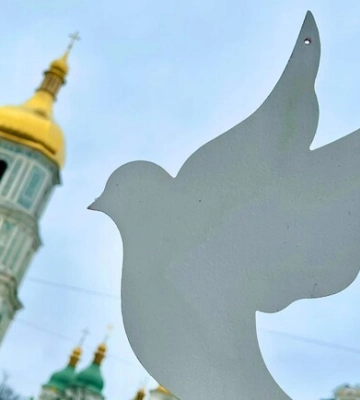Голуби з головної ялинки Києва підуть на продаж