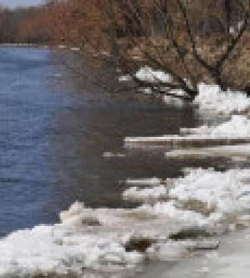 Ситуацию на Десне взяли под контроль, вода постепенно отходит от домохозяйств