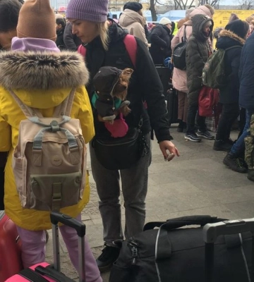 Допомога переселенцям: у Житомирі запрацювала ще одна програма допомоги внутрішьо переміщеним українцям