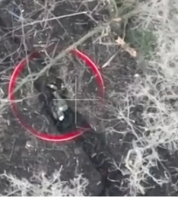 Около 30 россиян ликвидированы. В Генштабе ВСУ показали видео «успешного» наступления оккупантов на Запорожском направлении