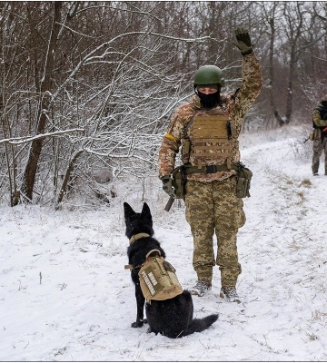 На Одещині службова собака прикордонників вже вдруге під час навчань виявила снаряди часів ДСВ, - ФОТО