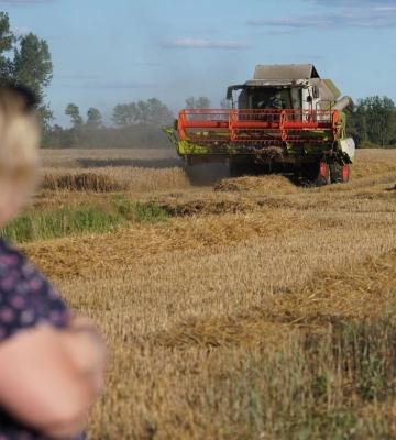 ООН надасть допомогу сільгоспвиробникам України на 200 млн доларів: хто зможе отримати