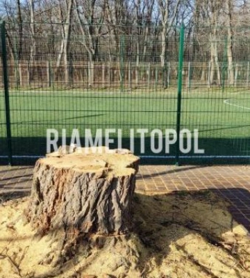 В окупованому місті Запорізької області росіяни знищили алею декоративних кленів - фото