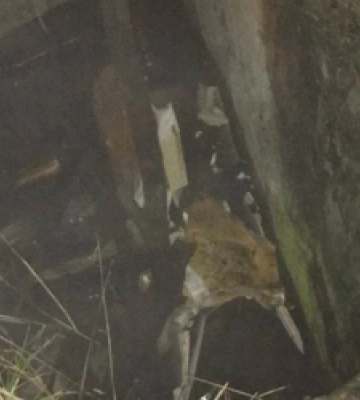 У Львові чоловік упав у глибокий каналізаційний колодязь