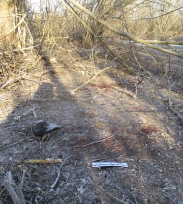 На Сумщині розслідують загибель 19-річної жінки внаслідок обстрілу з боку росії