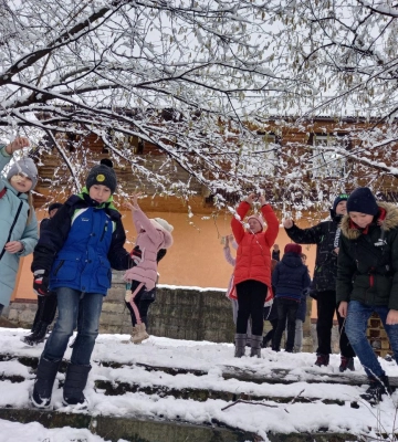 На Закарпатті триває екологічна акція «Допоможемо пташкам взимку!»