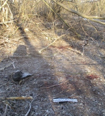 Внаслідок обстрілу Сумщини 23 січня загинула 19-річна дівчина, 3 особи дістали поранення, - Офіс Генпрокурора. ФОТО