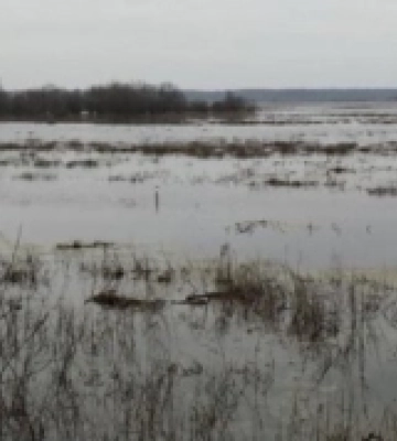 На Чернігівщині через підйом рівня води у річках підтоплені понад 130 домогосподарств