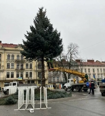 Головну ялинку Львова відправили на утилізацію (ВІДЕО)