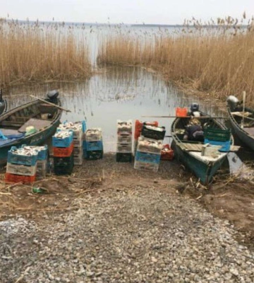 На березі водосховища у Дніпропетровській області викинули улов на 13 мільйонів