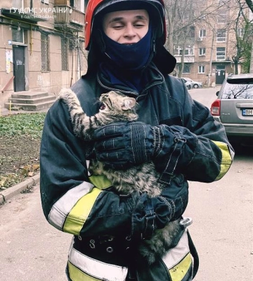 В Одесі містяни та пожежники рятували кота