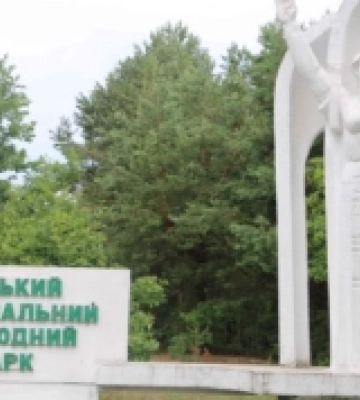 Платила зарплату працівникам, які на роботу не ходили:  в чому звинуватили директорку Шацького нацпарку
