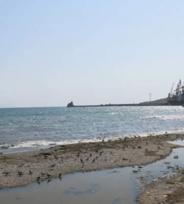 «У Криму знищують безцінну природу». Кримчани занепокоєні екологічною ситуацією