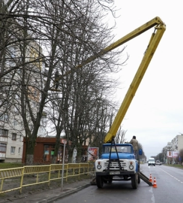 У Володимирі взялися за обрізання дерев (Фото)