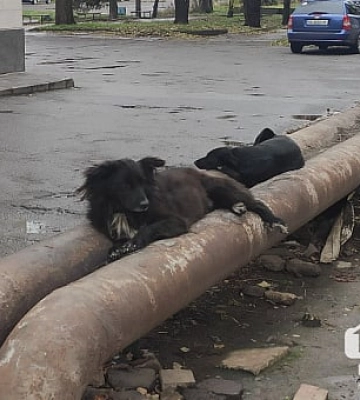 У Кривому Розі замінять 13 кілометрів мереж теплопостачання