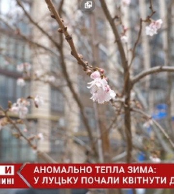 Де на Рівненщині не буде світла у суботу, 28 січня?