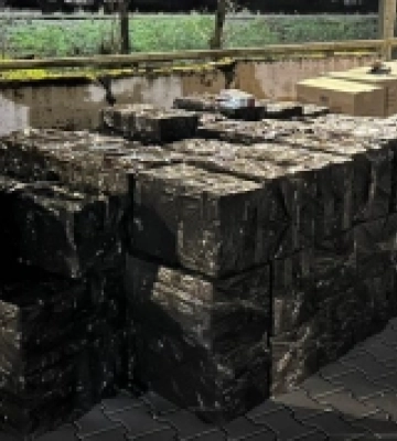 Понад 100 тисяч пачок сигарет: прикордонники Закарпаття підрахували виявлені на кордоні цигарки