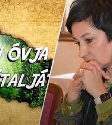 Депутат Закарпатского облсовета изобразила область в цветах венгерского флага
