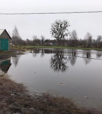 На Волині другокласник віддав 3 тисячі гривень на тепловізор військовому