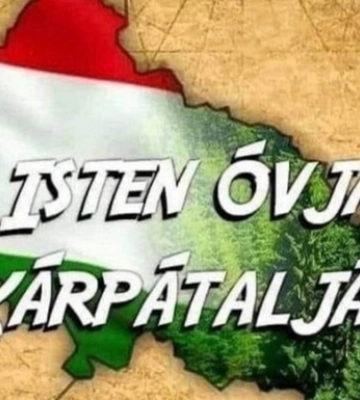 Депутат облради зобразила Закарпаття у квітах угорського прапора - ЗМІ
