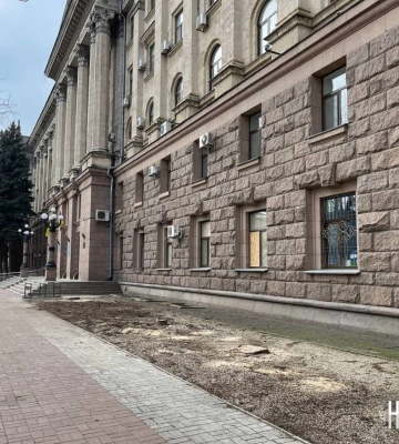 Ялинки біля Миколаївської міськради були в хорошому стані і не підлягали вирубці, — Держекоінспекція
