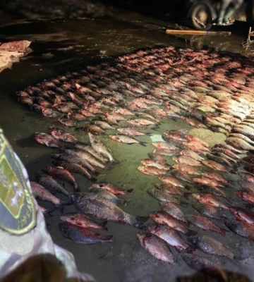 Черкаський водний патруль продовжує виявляти незаконний вилов риби