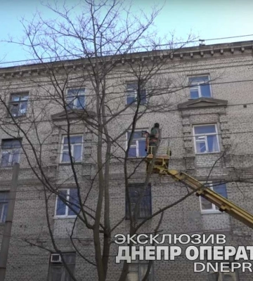 Поки дерева сплять:  у Дніпрі на пр. Гагаріна працюють співробітники КП “Міськзеленбуд”