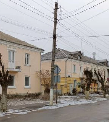 У Здолбунові енергетики жорстоко кронували дерева, тепер посадять нові