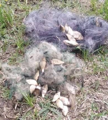 На Путивльщині судитимуть браконьєра, який наловив риби на 40 тис. грн збитків