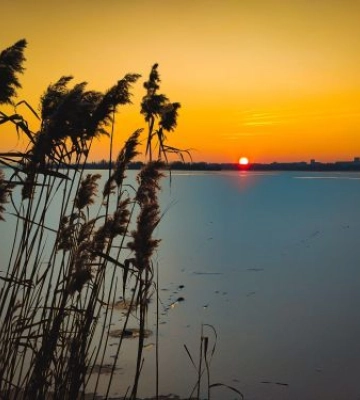 Люди діляться фотографіями гарного заходу сонця у Запоріжжі