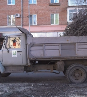По вулиці Гоголя в Полтаві спиляли аварійні липи